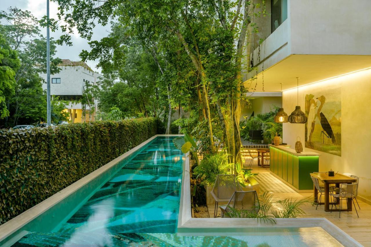 102-104 Amazing Private Pool And Fully Equipped Apartment Τουλούμ Εξωτερικό φωτογραφία